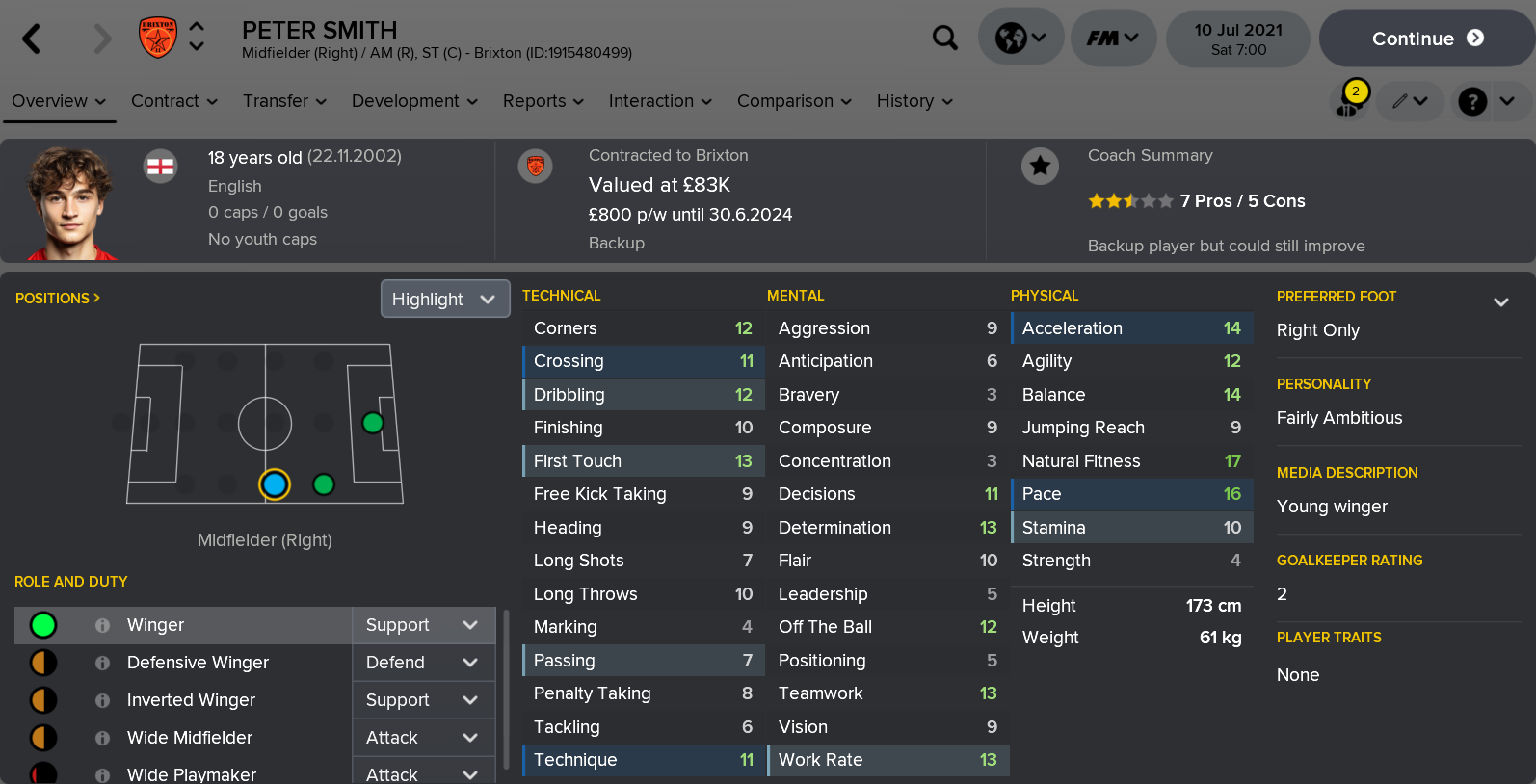 ---------- Peter Smith Player Card