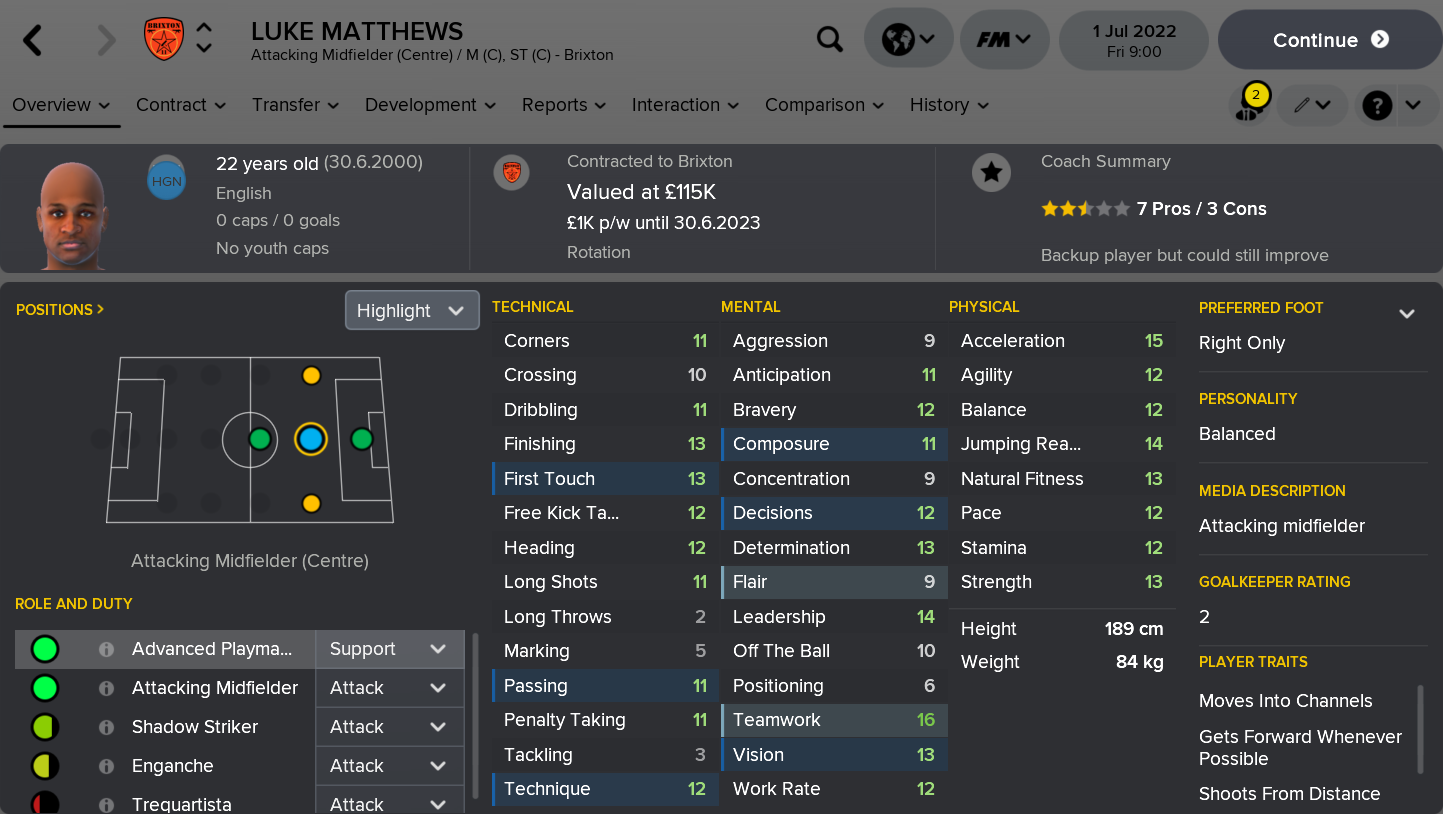 ---------- Luke Matthews Player Card